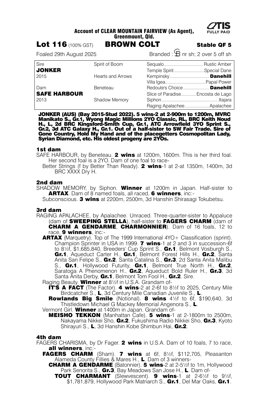 Pedigree - Lot 116