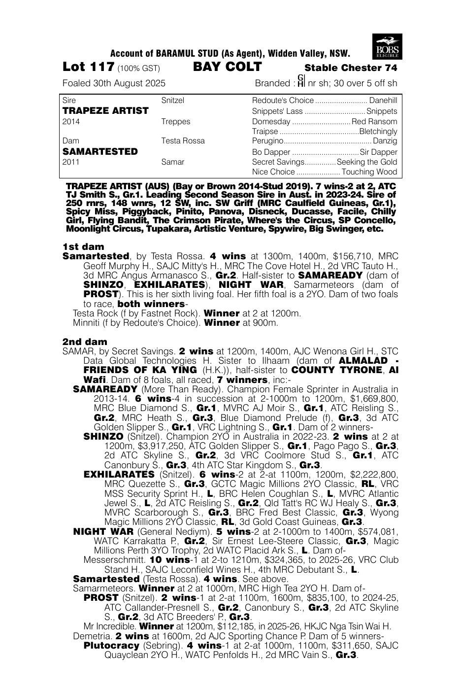 Pedigree - Lot 117