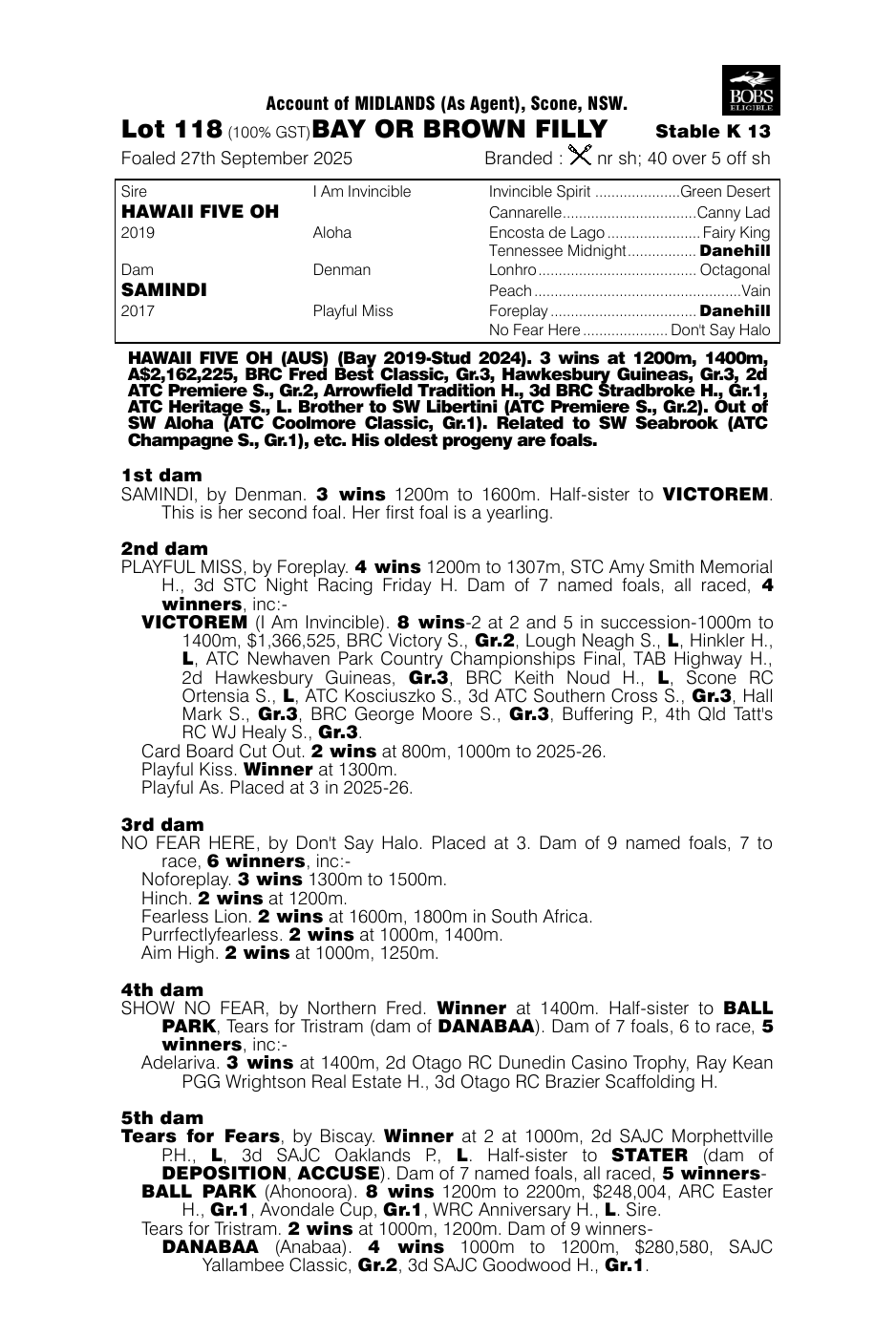 Pedigree - Lot 118