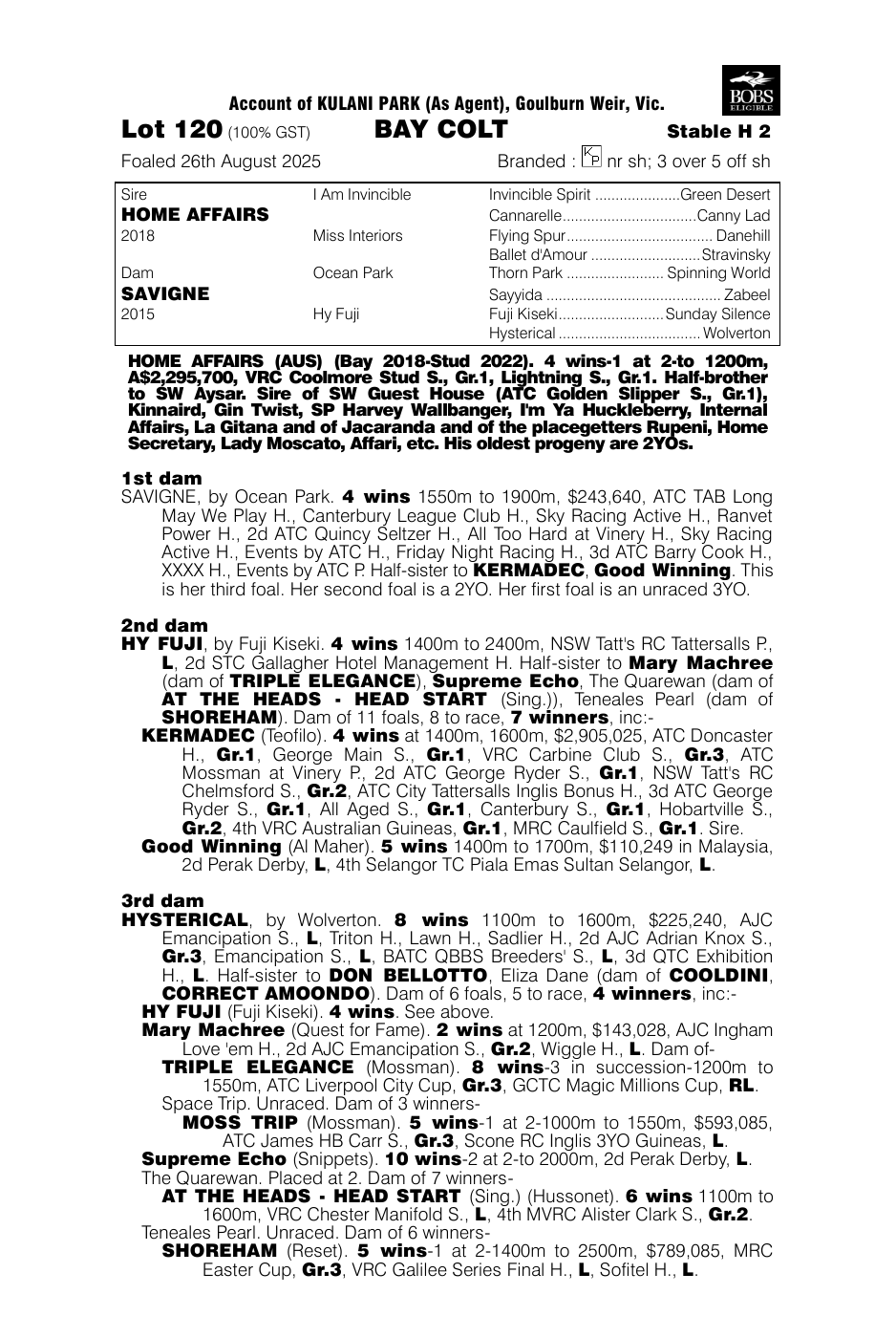Pedigree - Lot 120