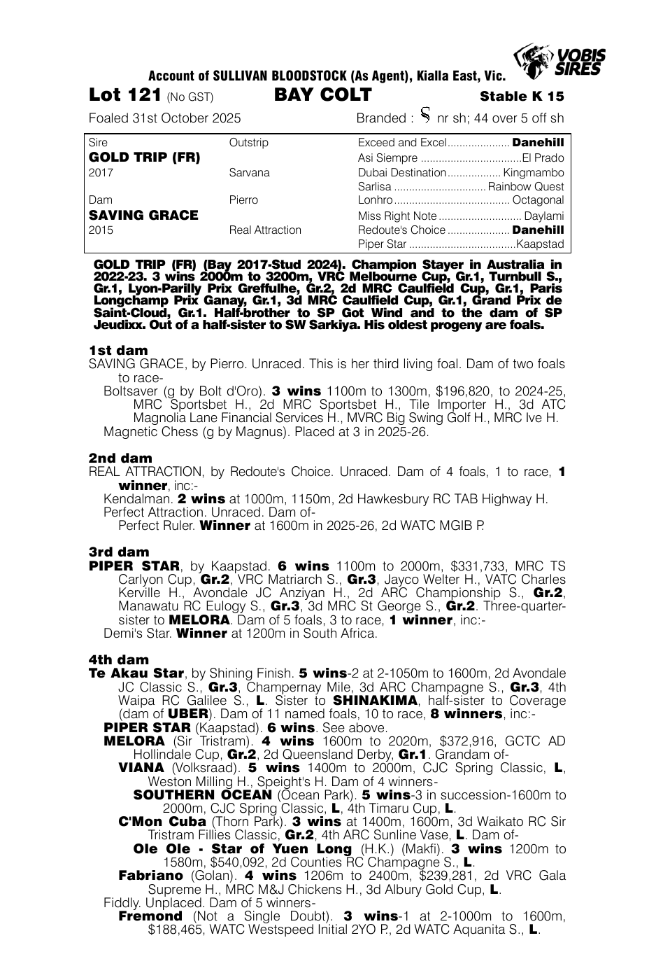 Pedigree - Lot 121