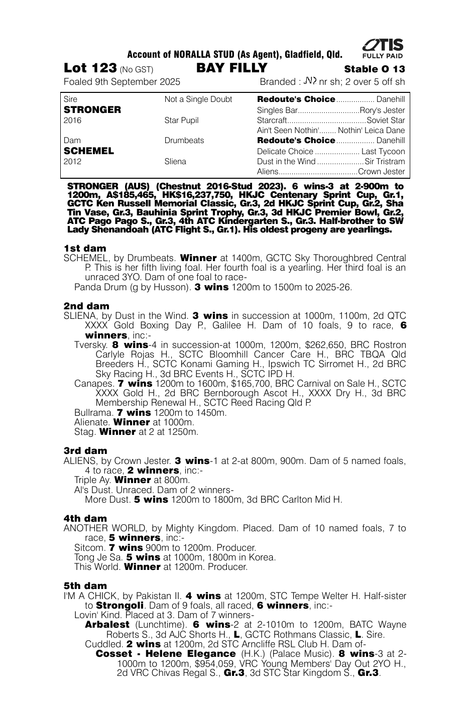 Pedigree - Lot 123