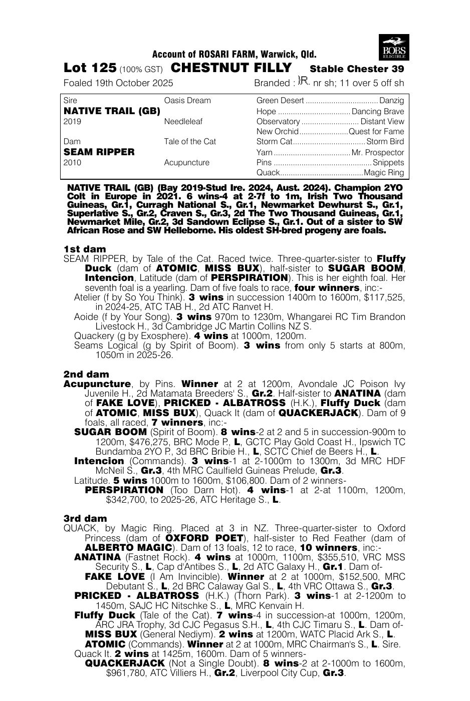 Pedigree - Lot 125