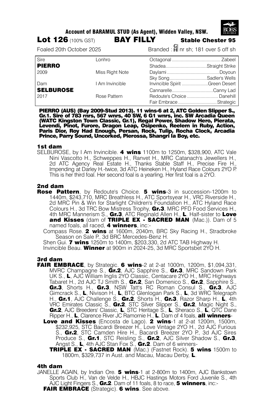 Pedigree - Lot 126