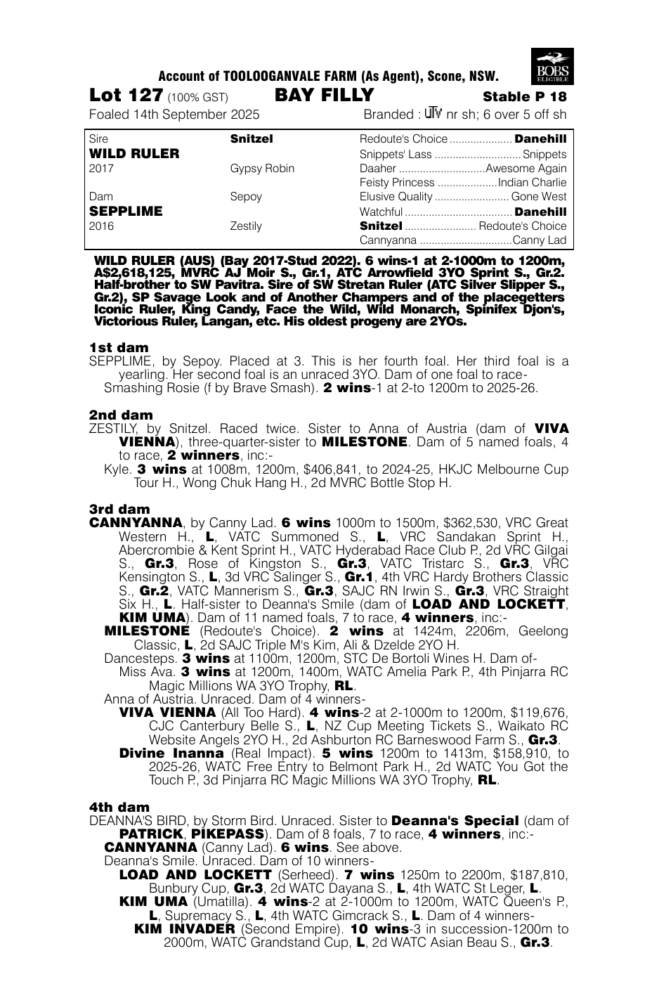 Pedigree - Lot 127
