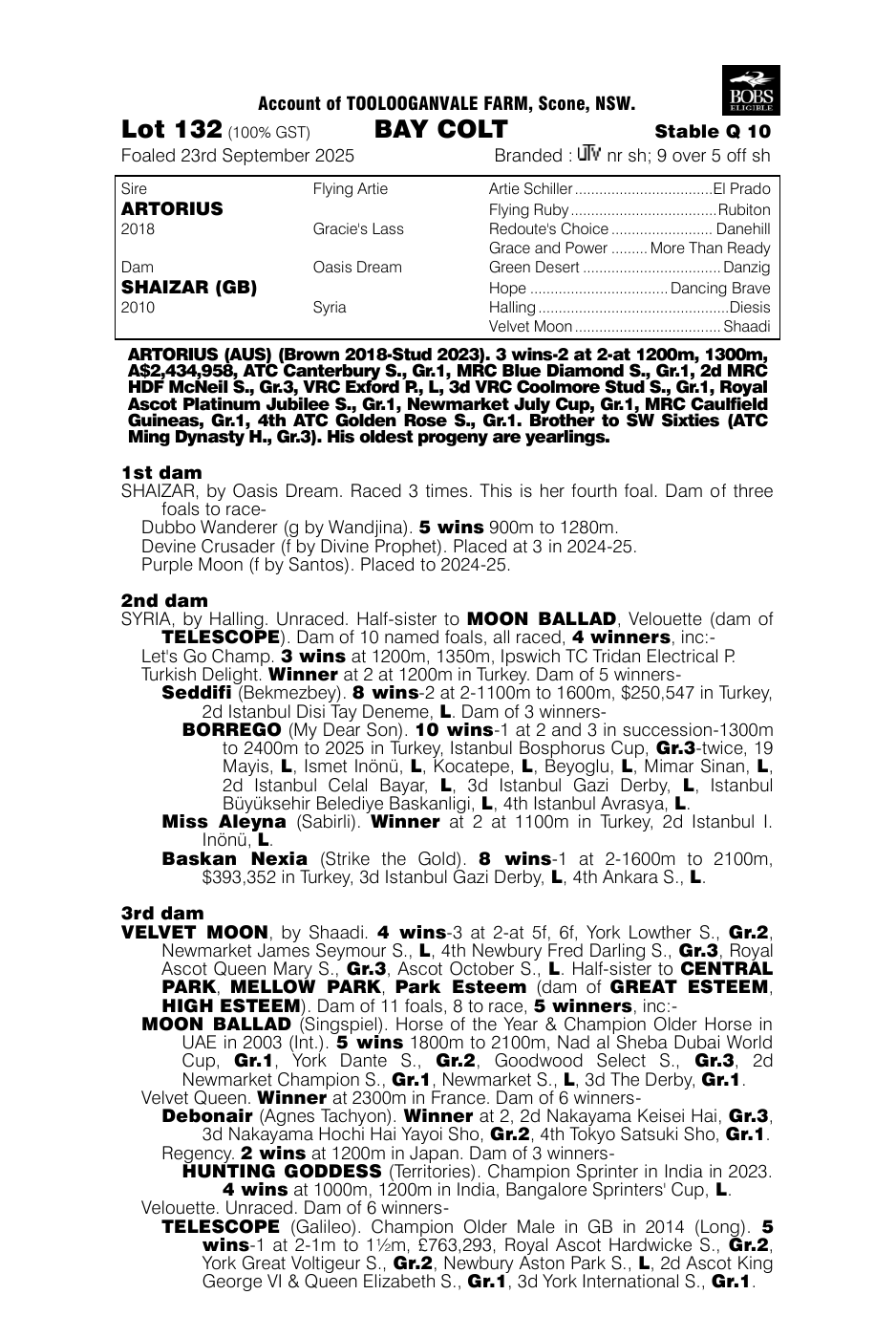 Pedigree - Lot 132