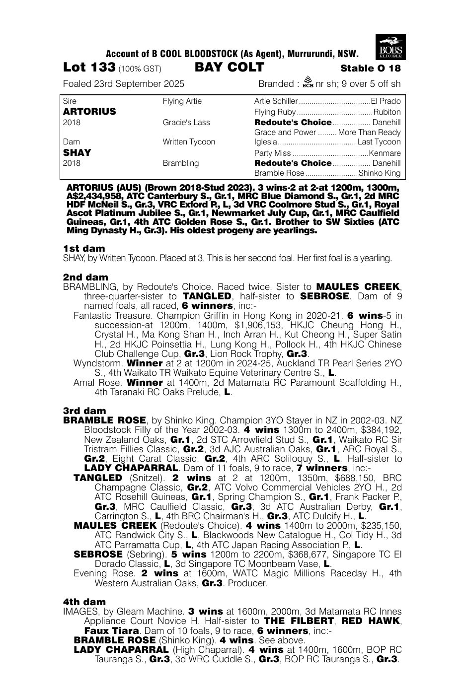 Pedigree - Lot 133