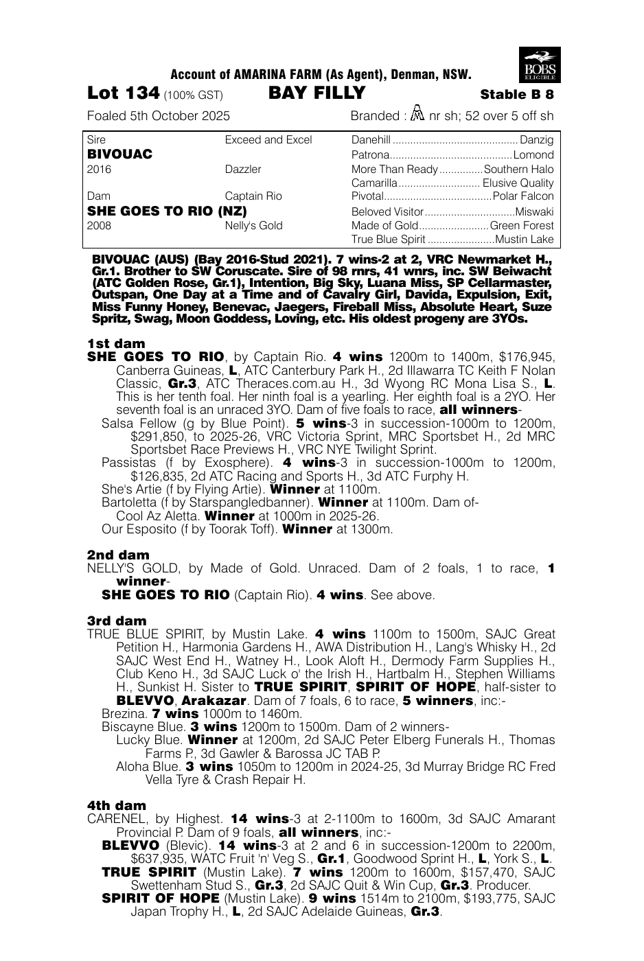 Pedigree - Lot 134