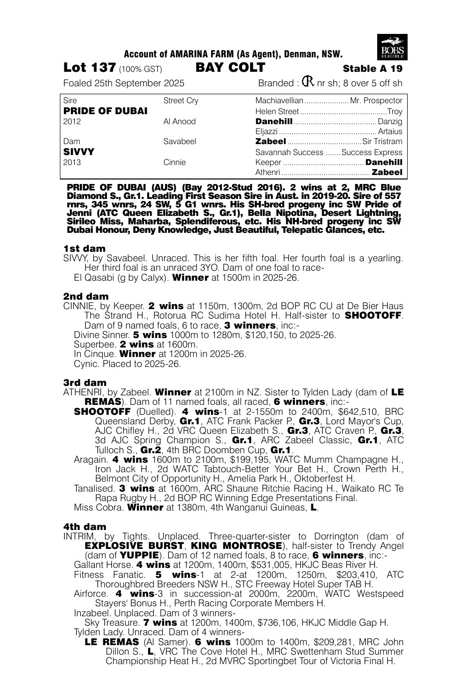 Pedigree - Lot 137