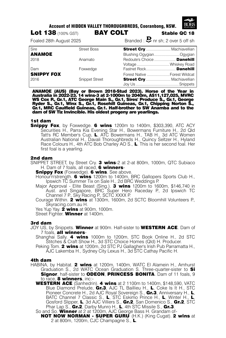 Pedigree - Lot 138