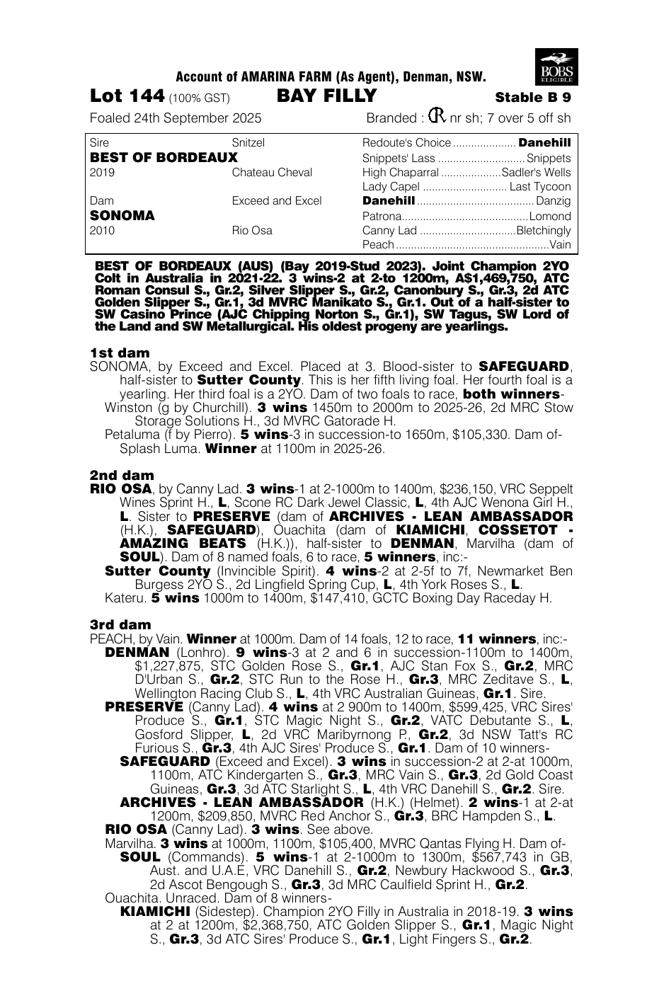 Pedigree - Lot 144