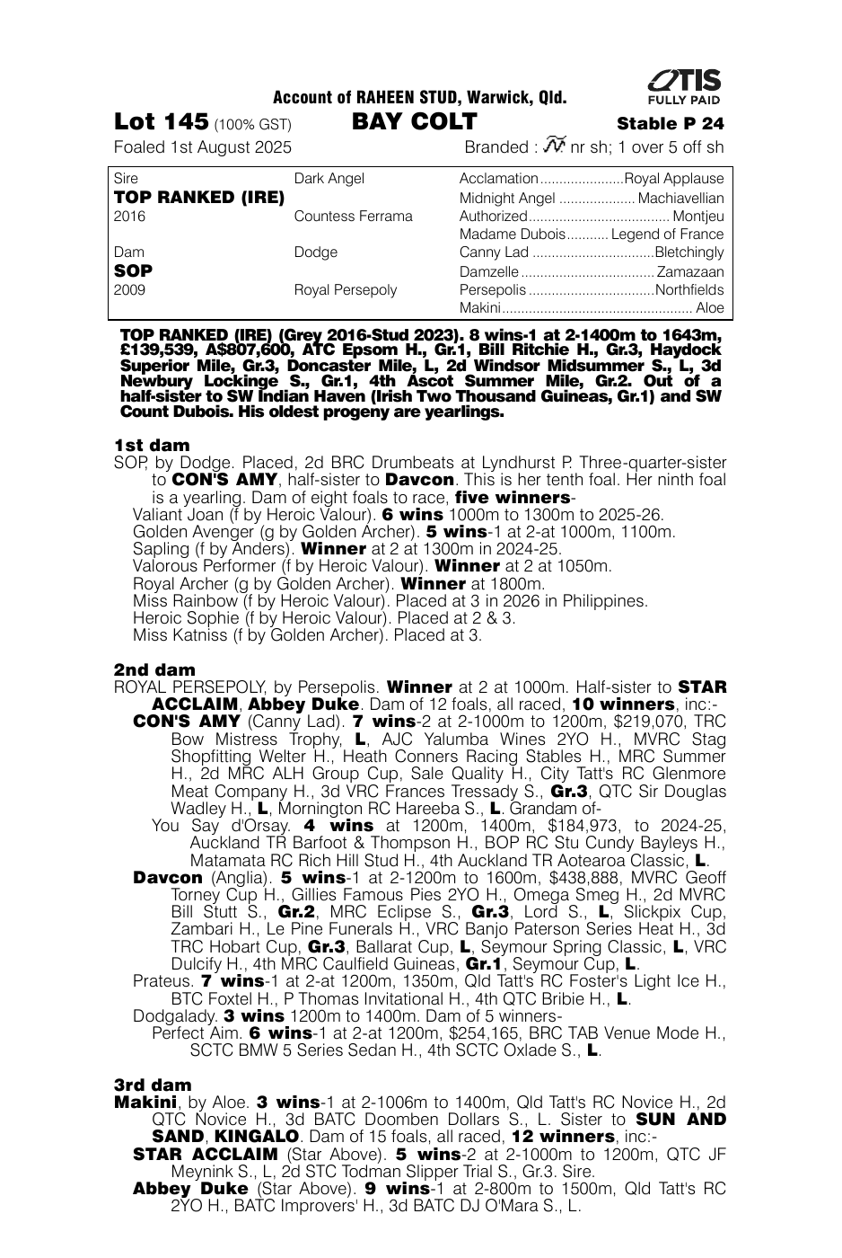 Pedigree - Lot 145