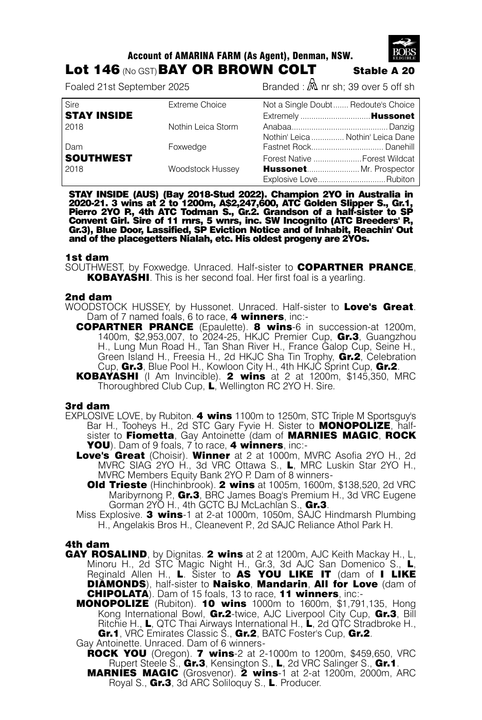 Pedigree - Lot 146