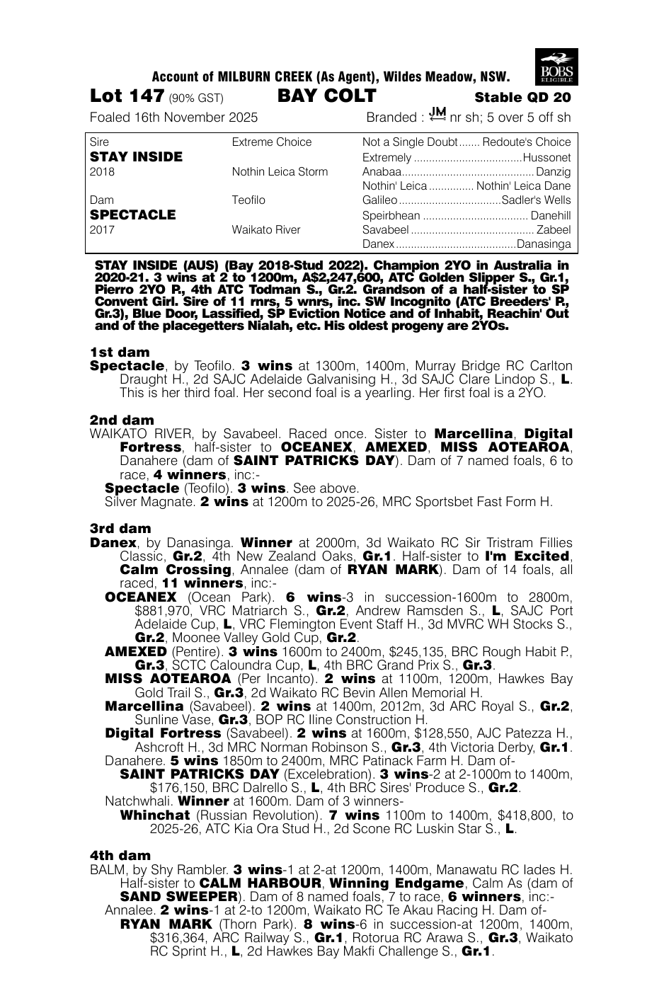Pedigree - Lot 147