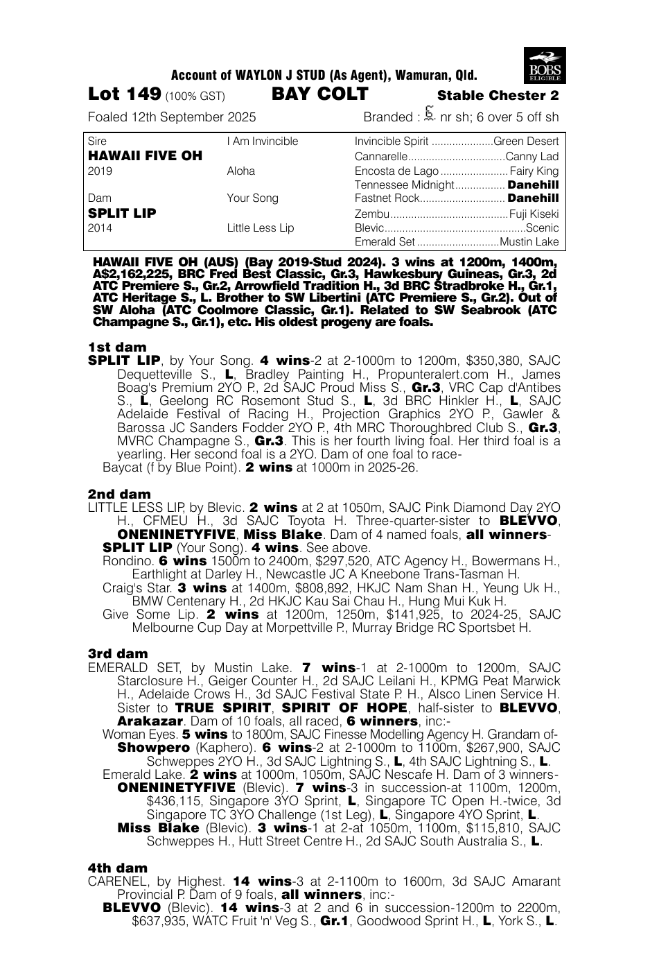 Pedigree - Lot 149