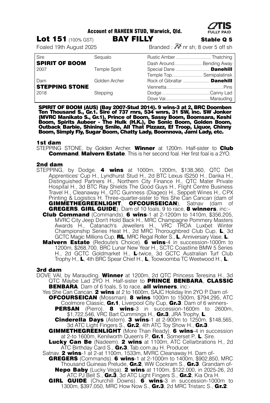 Pedigree - Lot 151