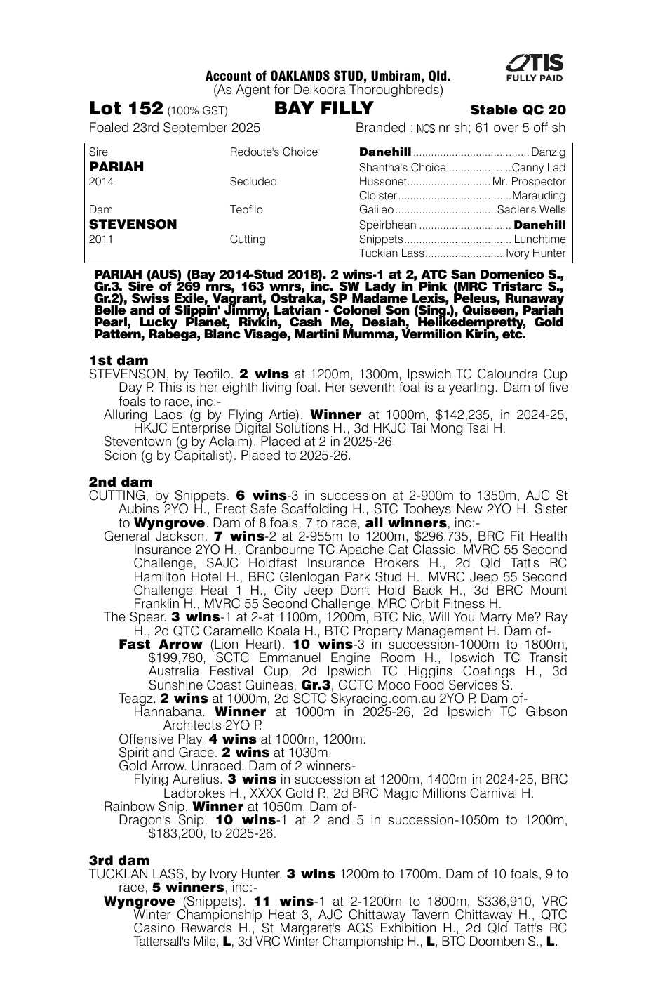 Pedigree - Lot 152