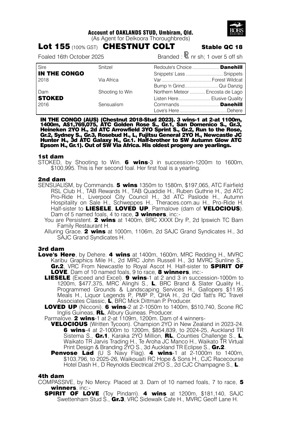 Pedigree - Lot 155