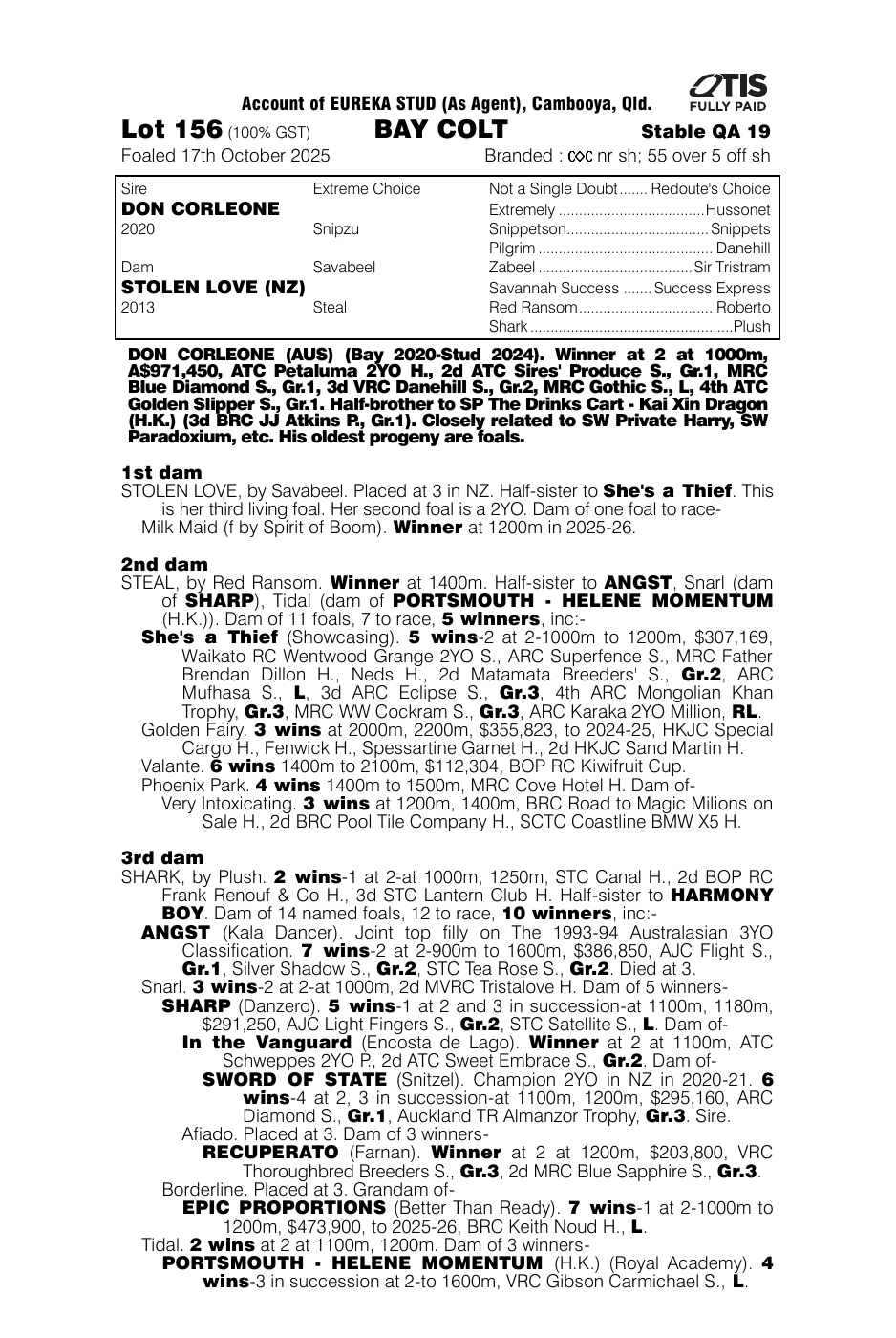 Pedigree - Lot 156