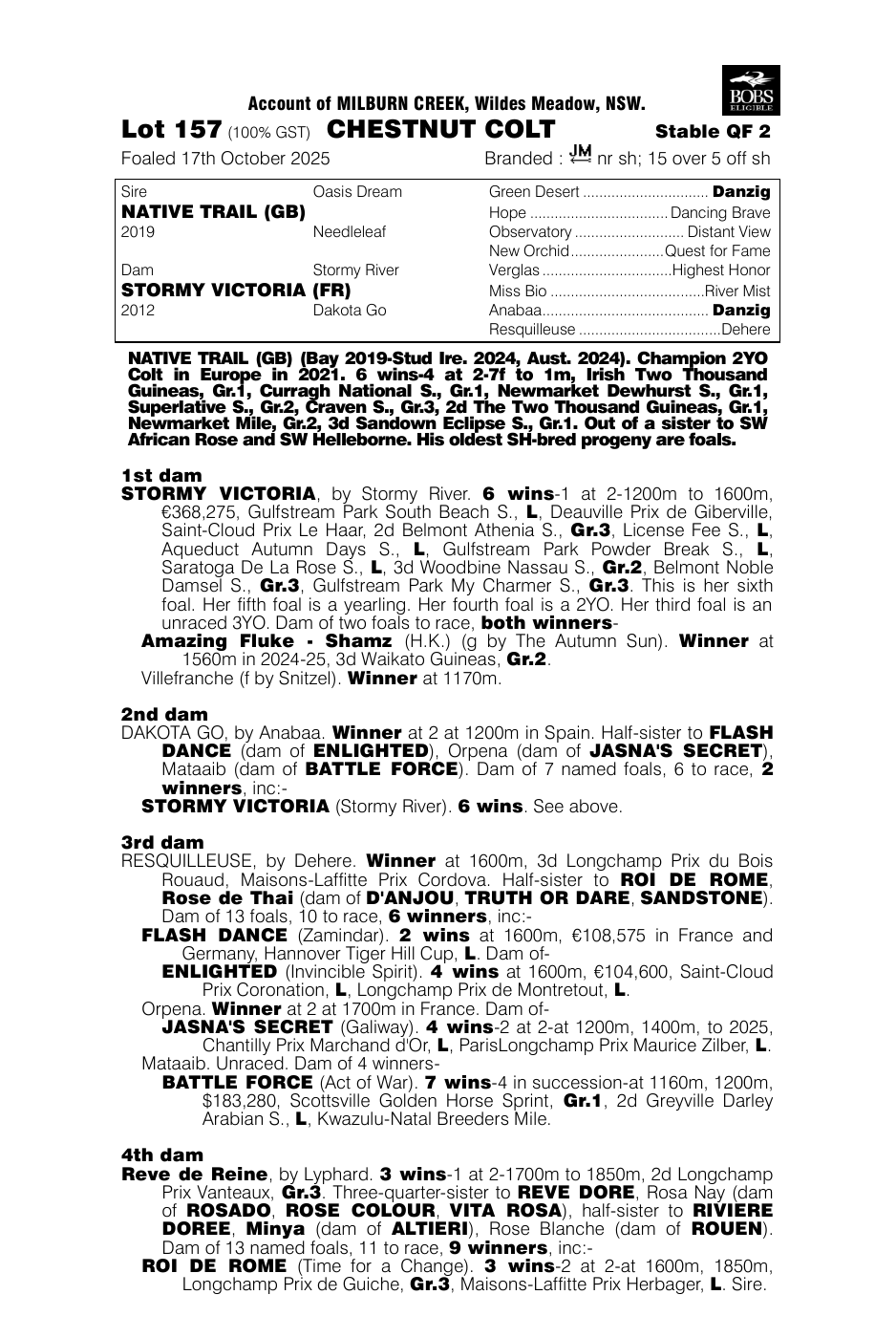 Pedigree - Lot 157