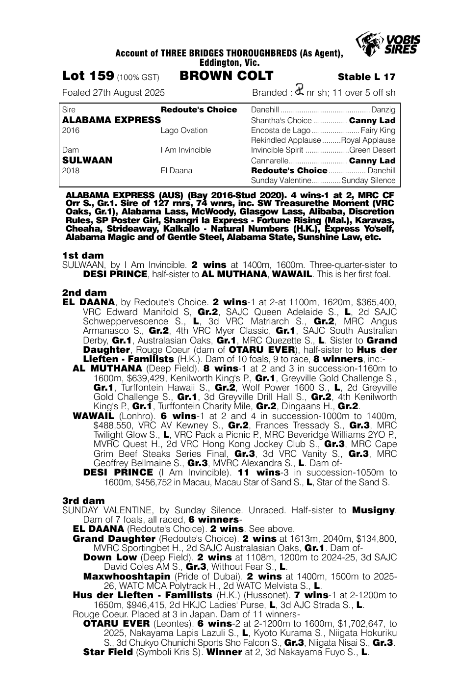 Pedigree - Lot 159
