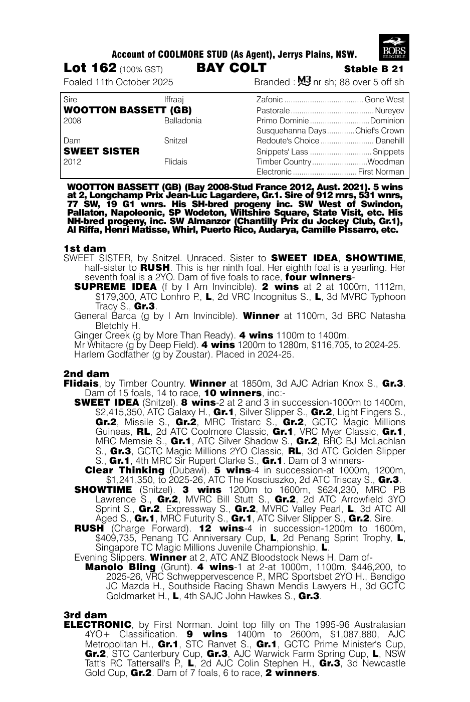 Pedigree - Lot 162