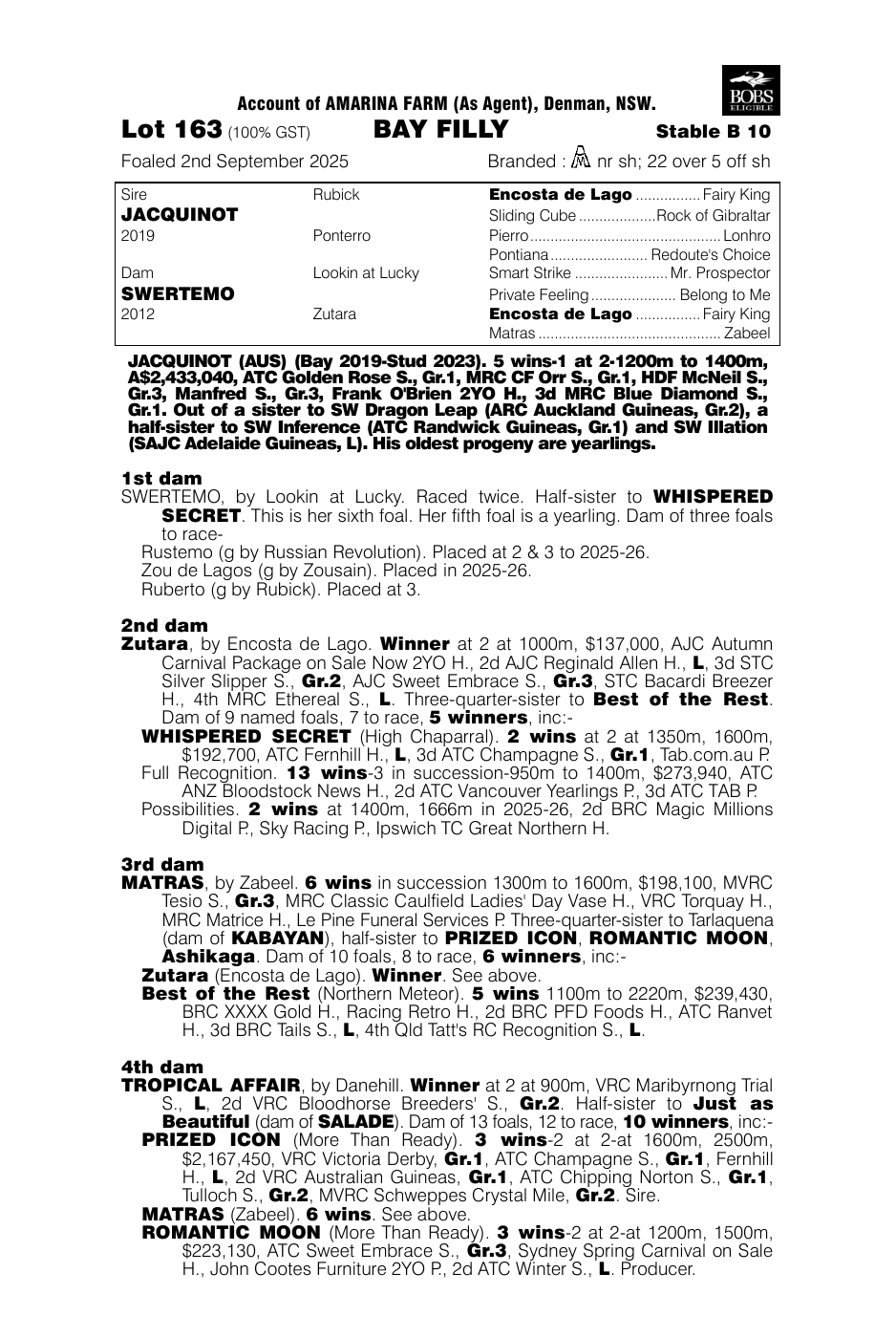 Pedigree - Lot 163