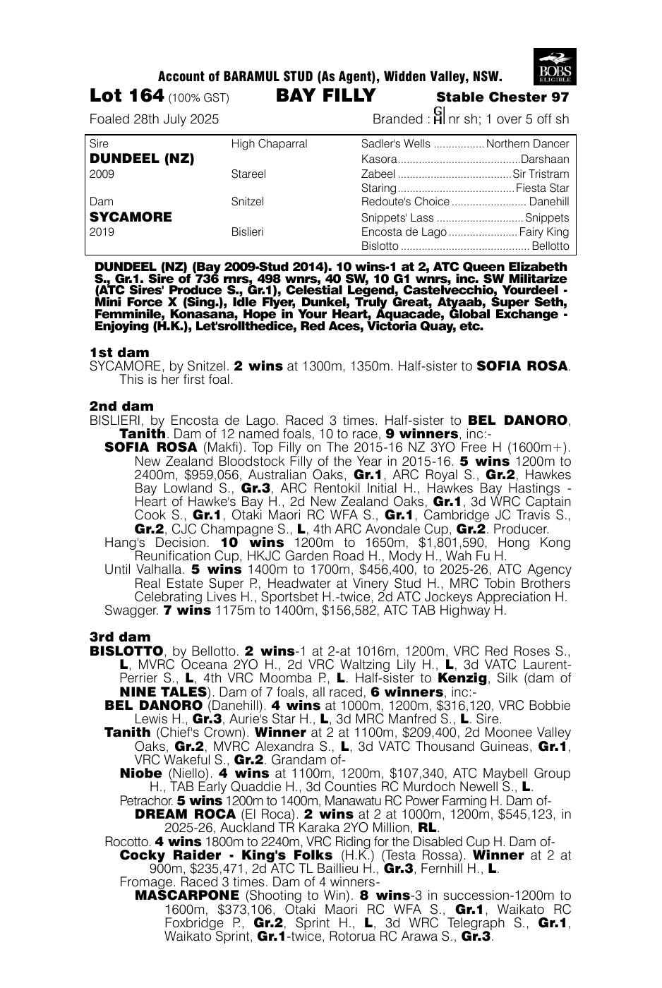 Pedigree - Lot 164