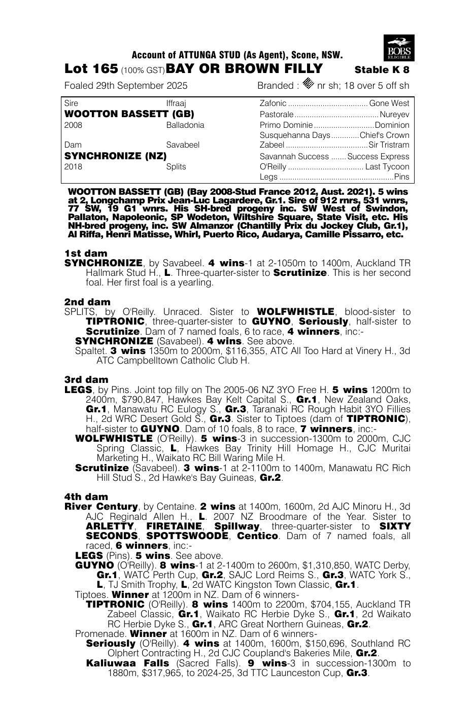 Pedigree - Lot 165