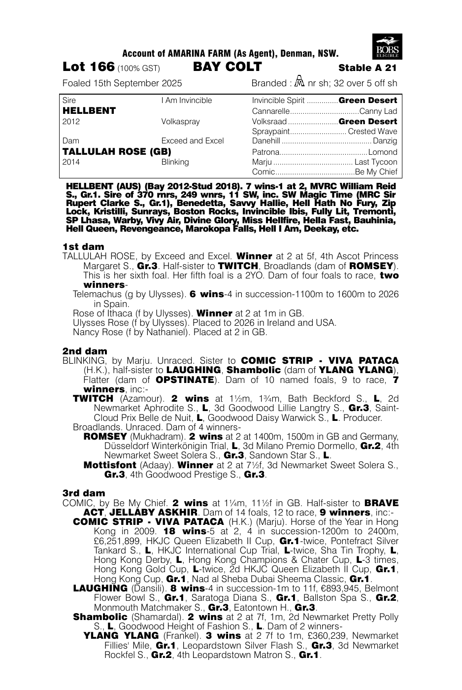 Pedigree - Lot 166