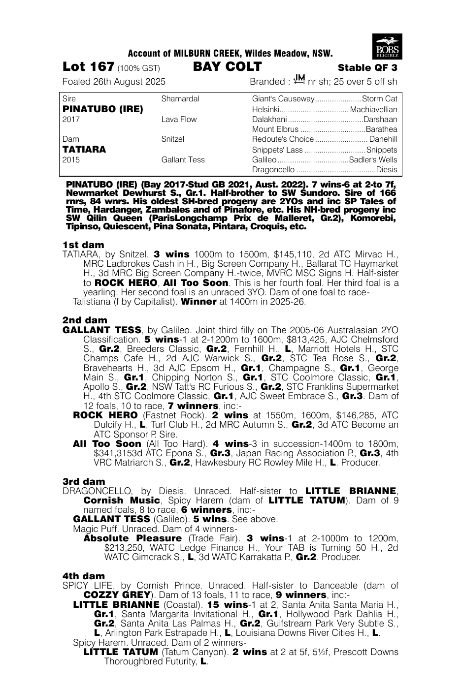 Pedigree - Lot 167
