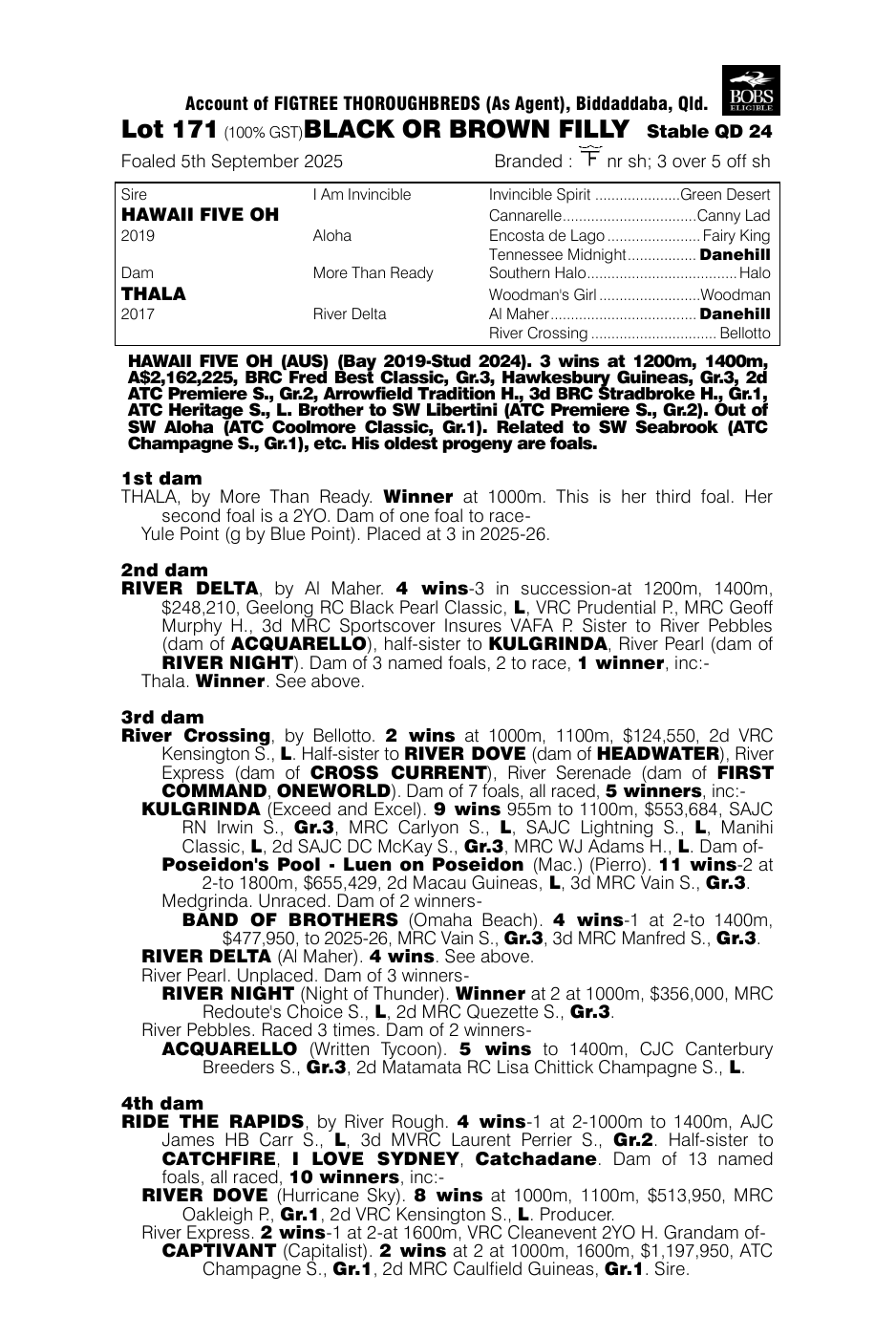 Pedigree - Lot 171