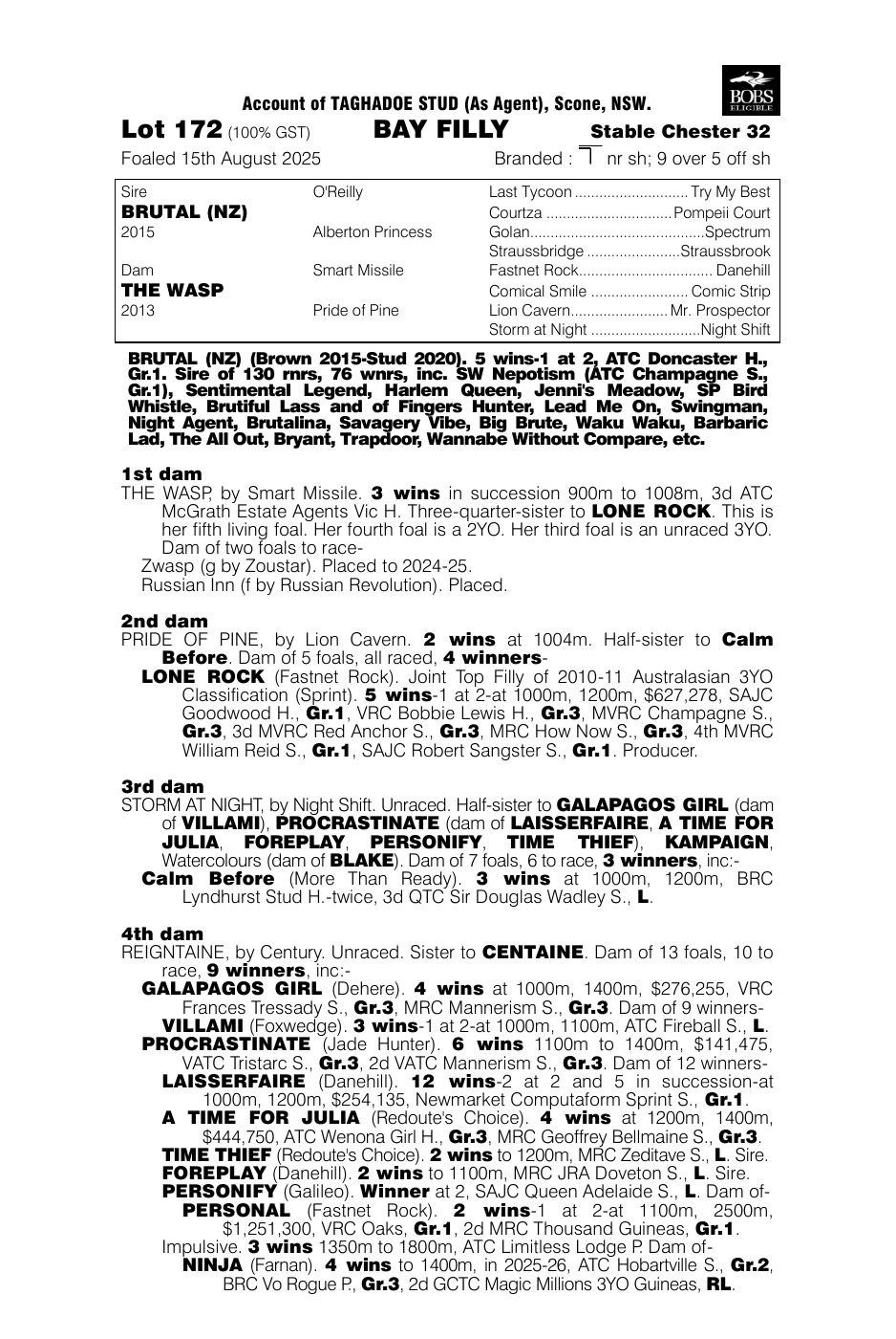 Pedigree - Lot 172