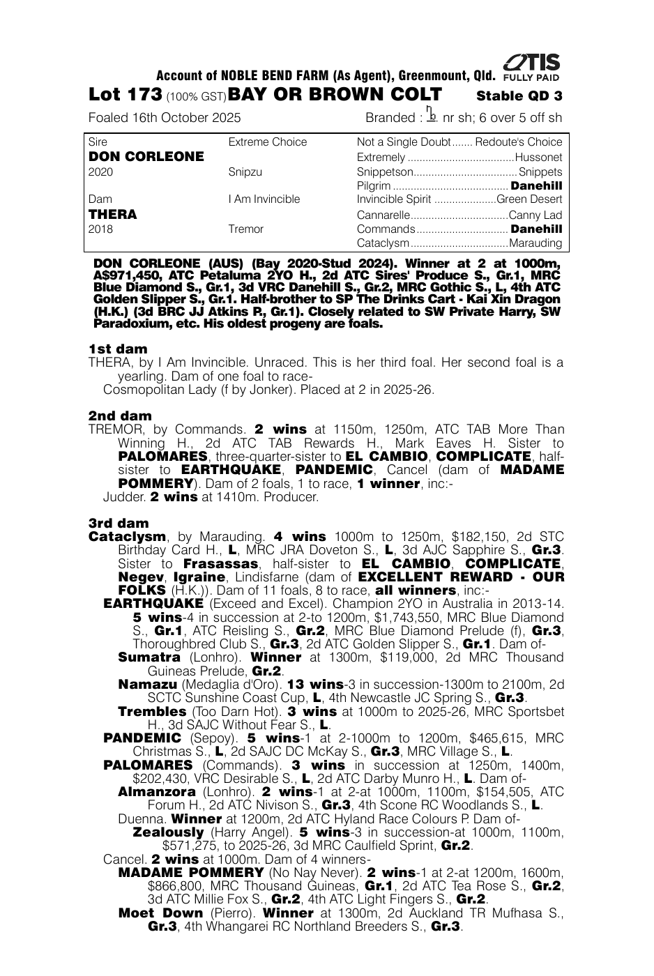 Pedigree - Lot 173