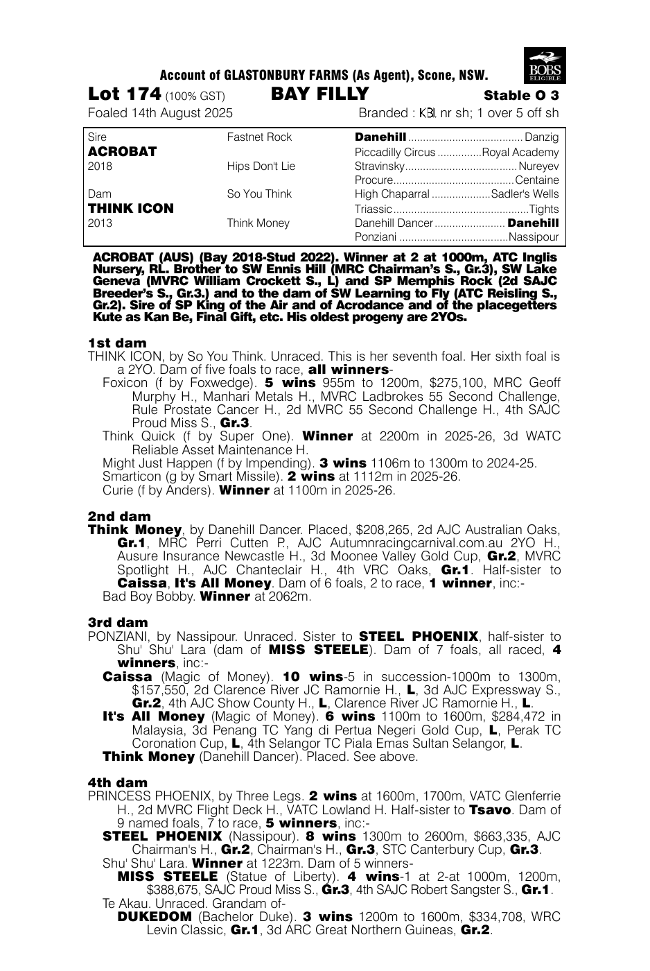 Pedigree - Lot 174