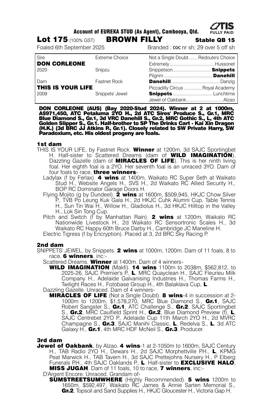 Pedigree - Lot 175