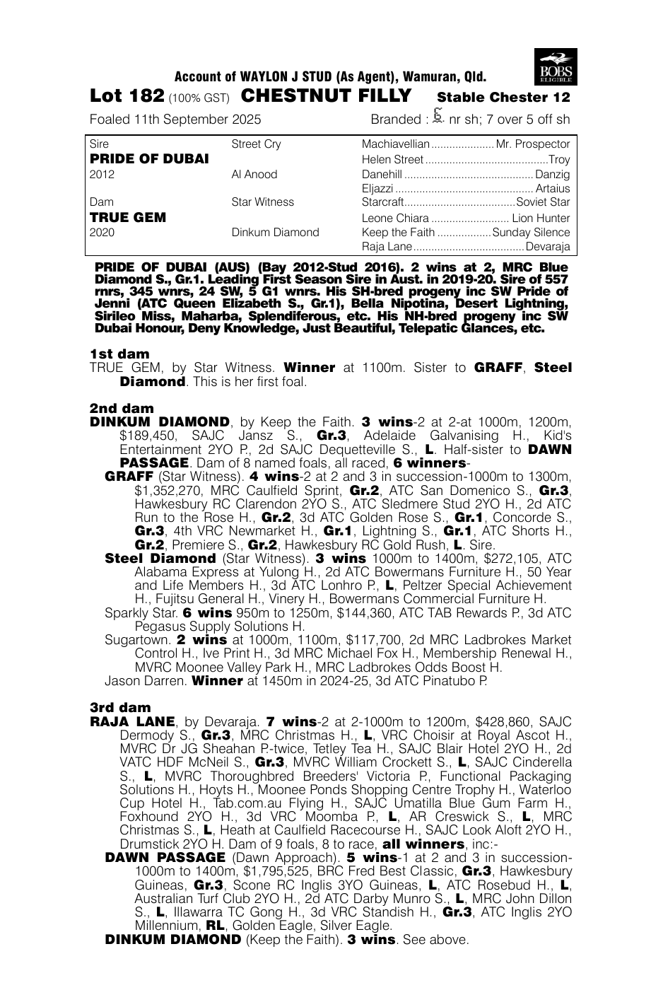 Pedigree - Lot 182