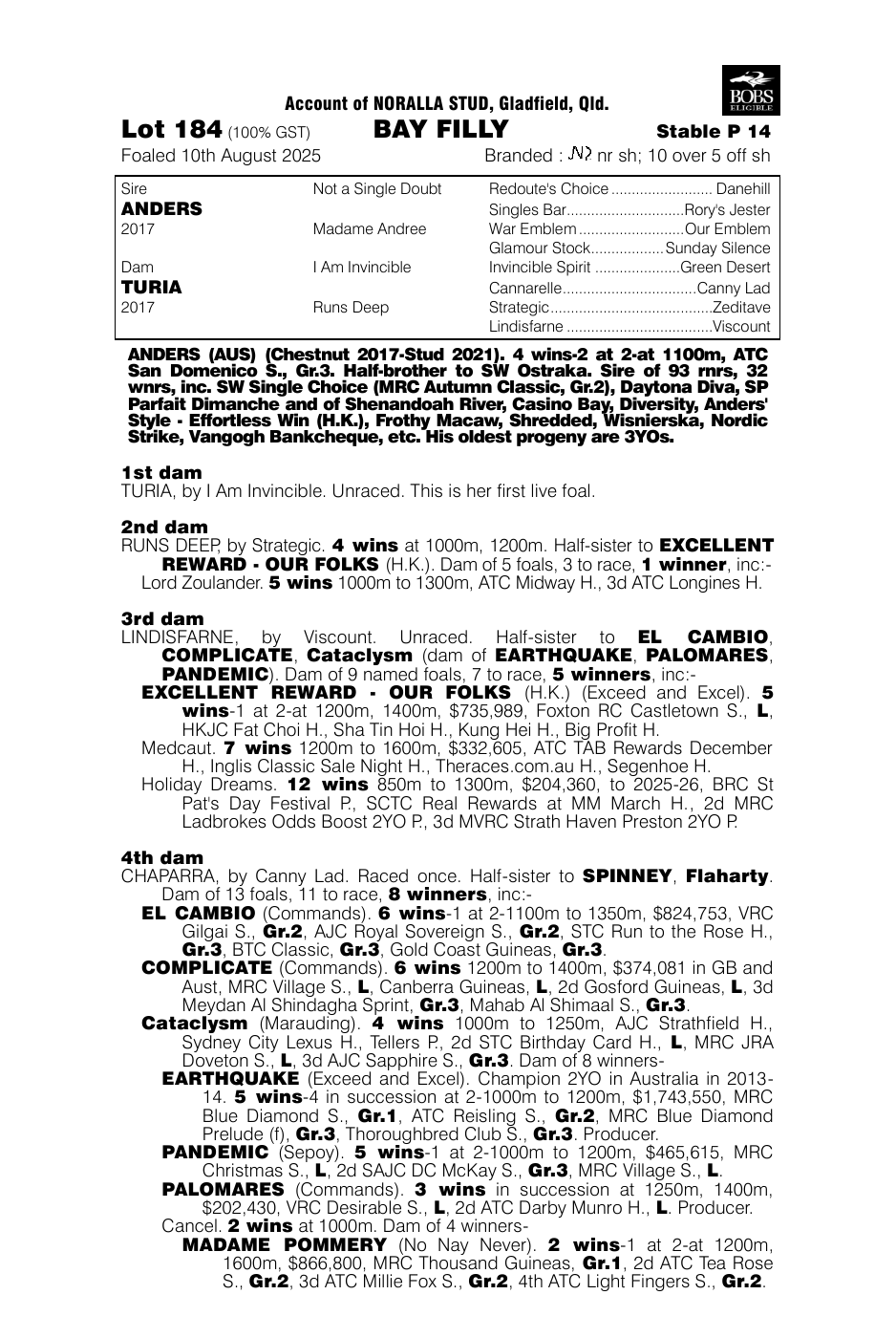 Pedigree - Lot 184