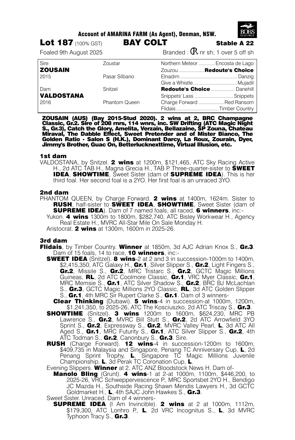 Pedigree - Lot 187