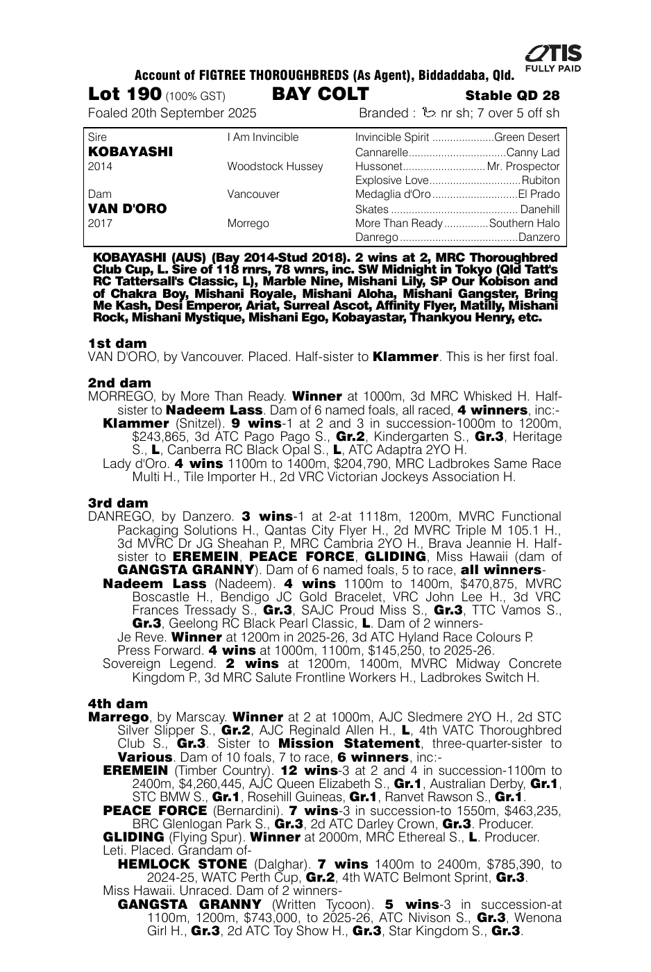 Pedigree - Lot 190