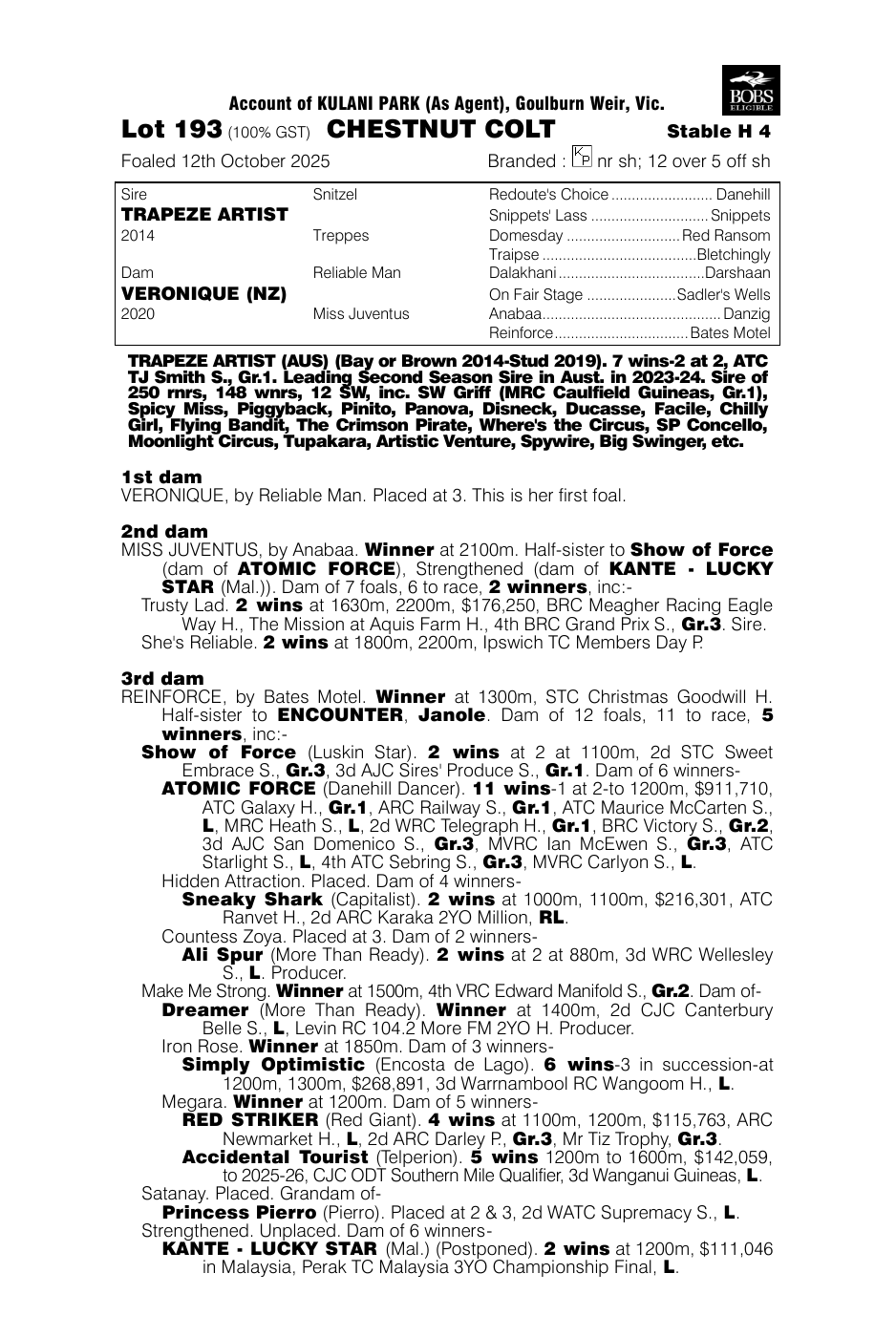 Pedigree - Lot 193