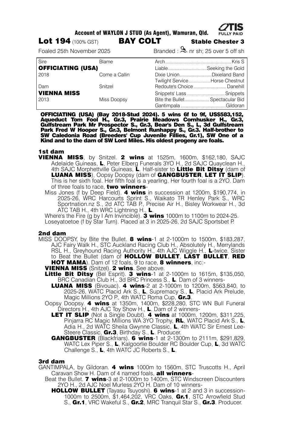 Pedigree - Lot 194