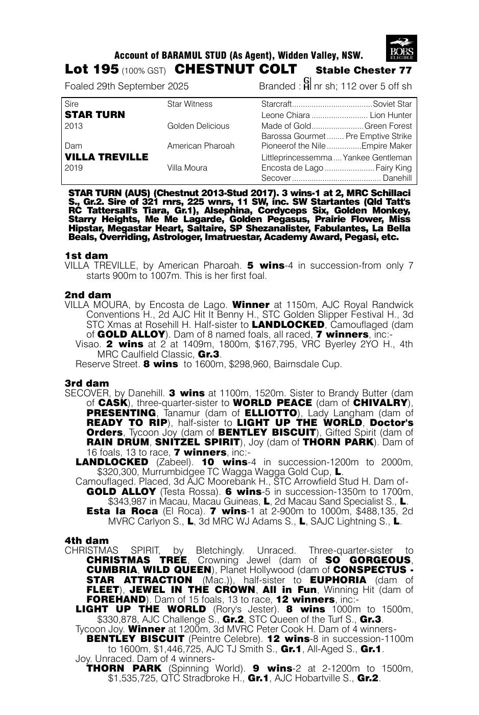 Pedigree - Lot 195