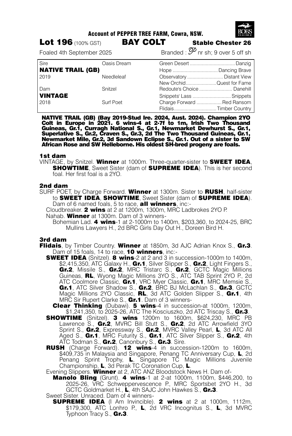 Pedigree - Lot 196