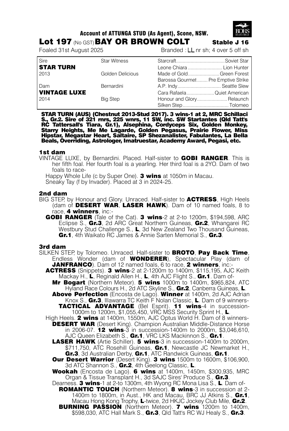 Pedigree - Lot 197