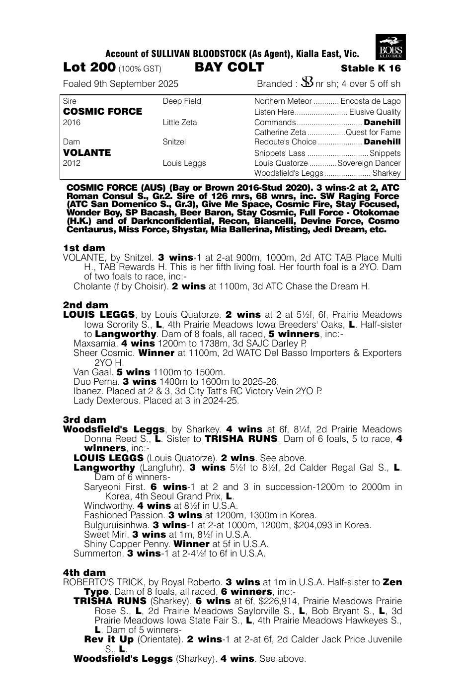 Pedigree - Lot 200