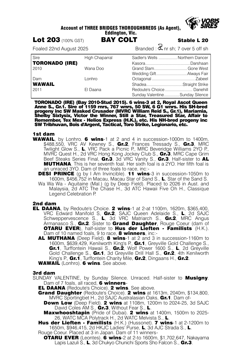 Pedigree - Lot 203