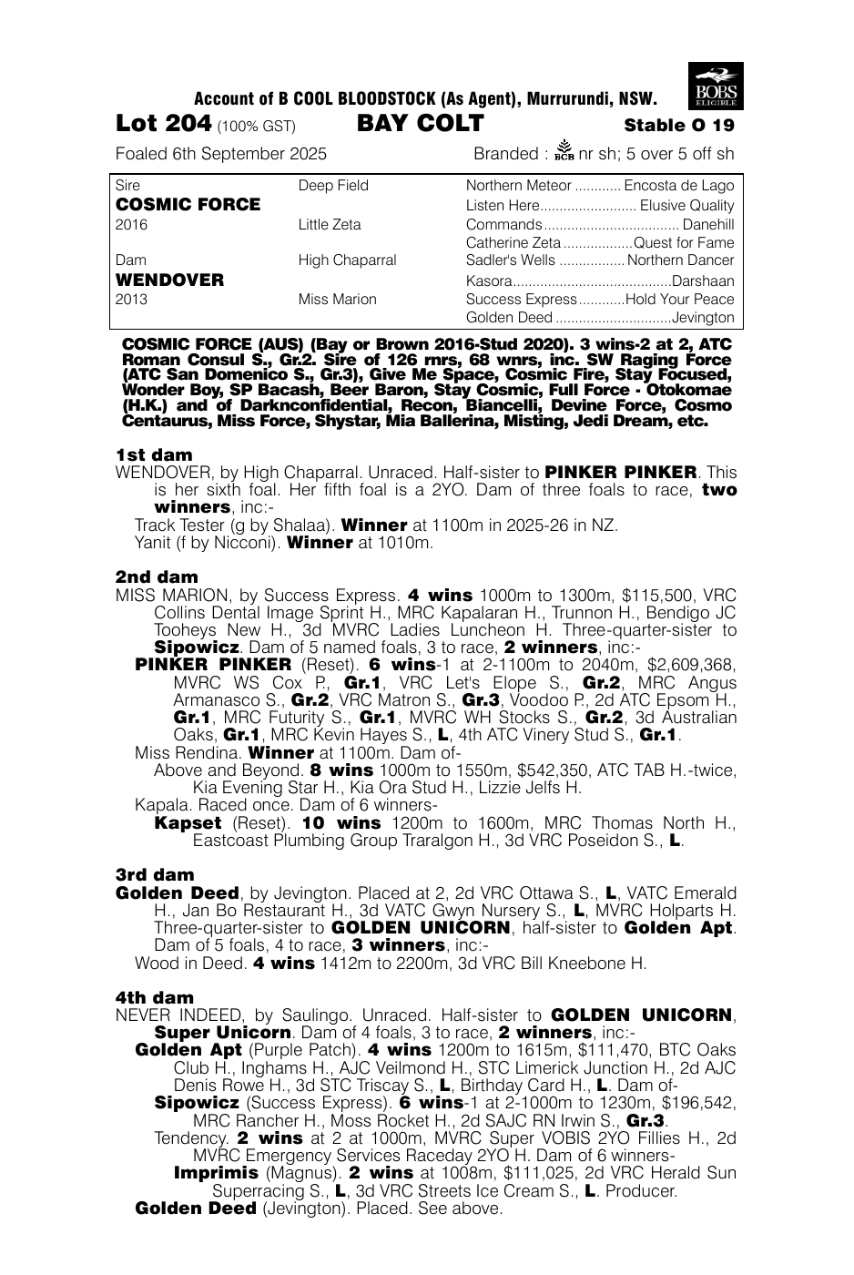 Pedigree - Lot 204