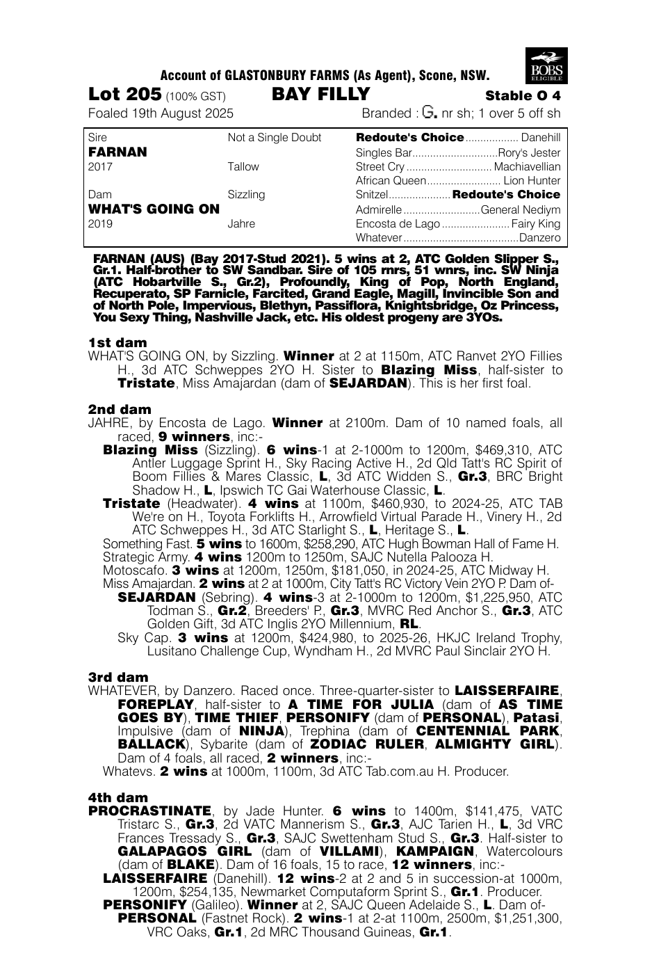Pedigree - Lot 205