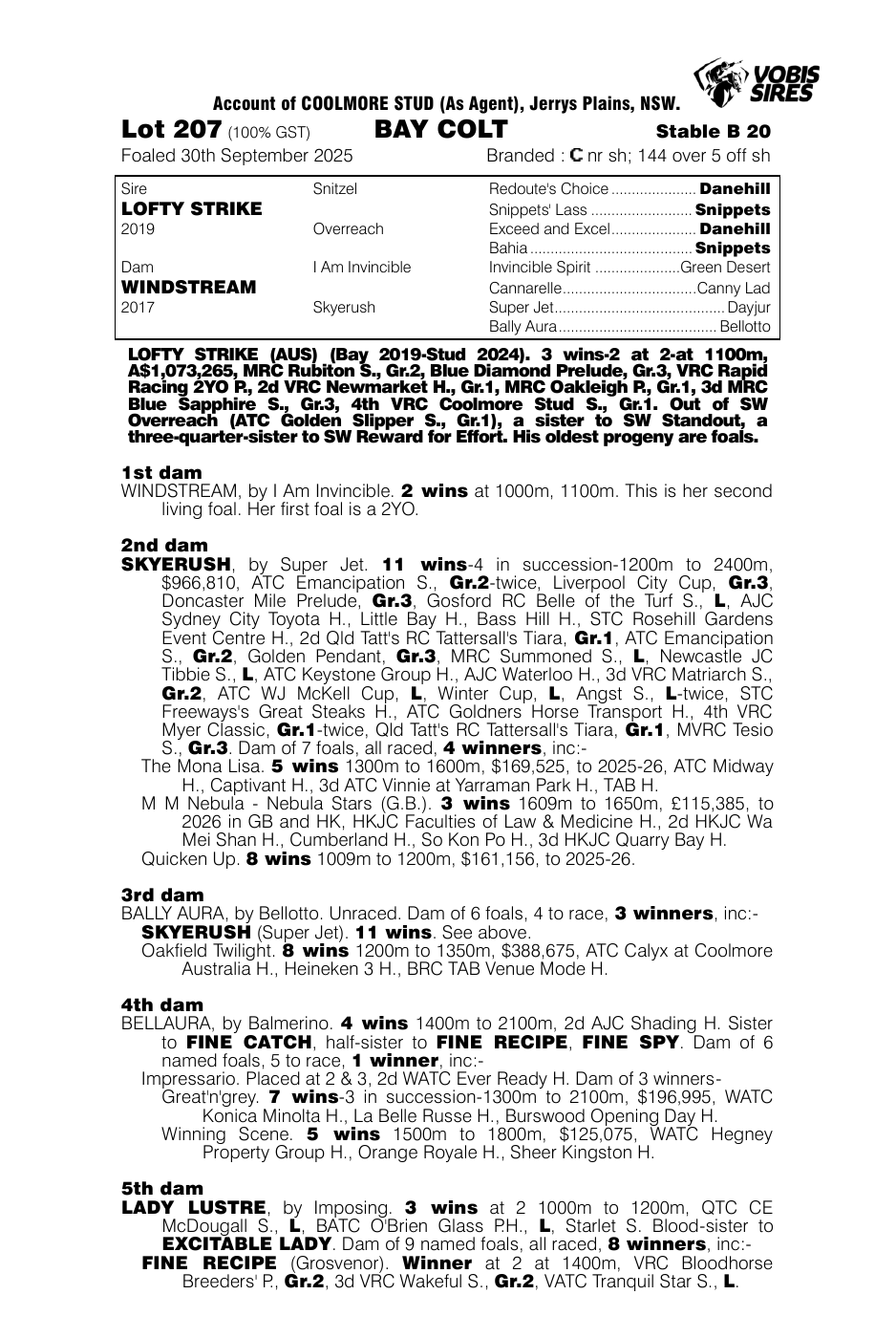 Pedigree - Lot 207